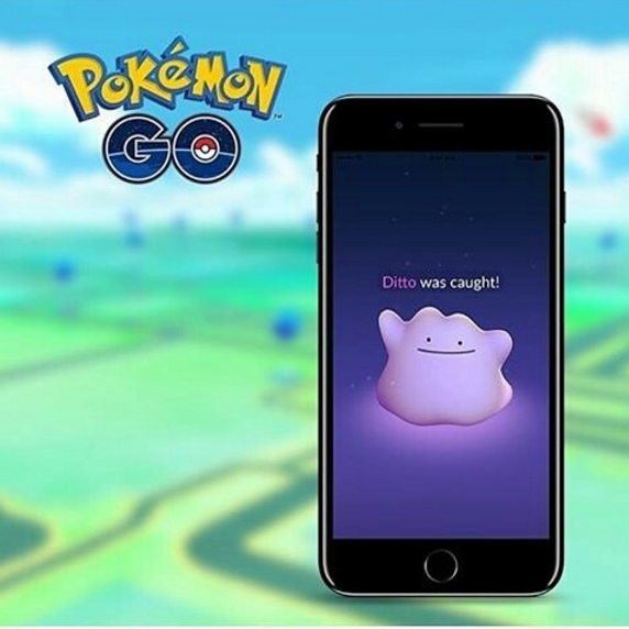 Ditto is now available in Pokémon Go and disguises itself requiring the players of Pokemon to catch as many characters before revealing itself.
