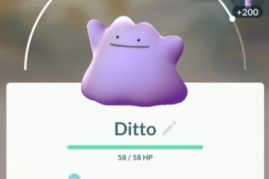 Pokemon Ditto officially available in 