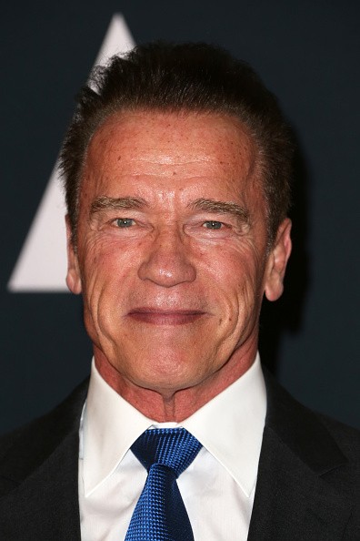 Politician/actor Arnold Schwarzenegger attended the Academy of Motion Picture Arts and Sciences' 8th annual Governors Awards at The Ray Dolby Ballroom at Hollywood & Highland Center on Nov. 12 in Hollywood, California.