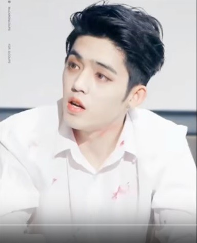 Choi Seungcheol better known by his stage name S.Coups is a South Korean singer and leader of the K-Pop group SEVENTEEN