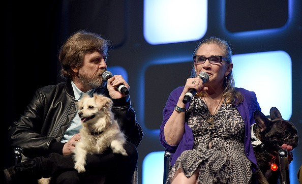 Mark Hamill, Carrie Fisher, and her dog Gary on stage during Future Directors Panel at the Star Wars Celebration 2016 at ExCel on July 17 in London, England.