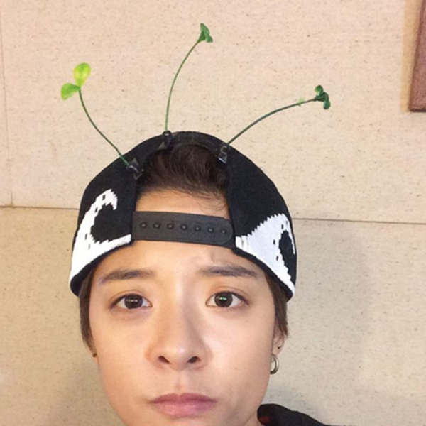Amber Josephine Liu is a member of the K-pop girl band f(x).