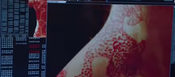 An image of the tiger tattoo on Jane's neck revealed in a scene in "Blindspot" Season 2 episode 11.