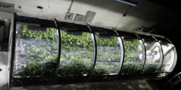 This inflatable greenhouse could feed   astronauts on Mars