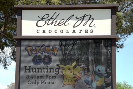 Business Sets Hours For Pokemon Go Players